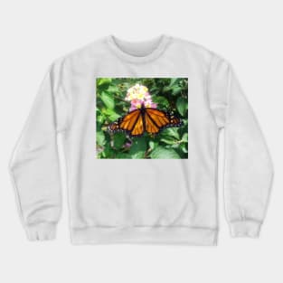 Monarch Butterfly Crewneck Sweatshirt